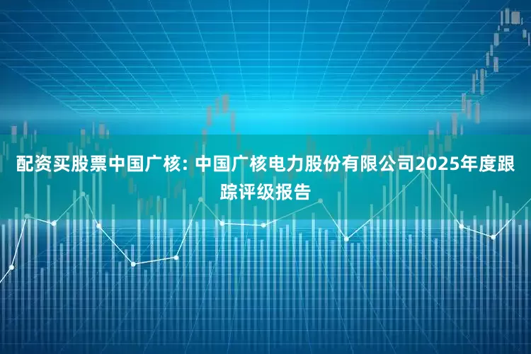 配资买股票中国广核: 中国广核电力股份有限公司2025年度跟踪评级报告